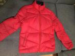Ski Jas Tommy Hillfiger, Ophalen of Verzenden, Zo goed als nieuw, Rood, Tommy hilfiger