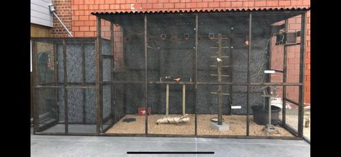Voiliere, Dieren en Toebehoren, Vogels | Hokken en Kooien, Gebruikt, Volière, Hout, Ophalen