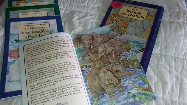 boeken extra groot ( 17 ), Boeken, Kinderboeken | Jeugd | 10 tot 12 jaar, Verzenden