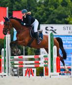 STALHULP AANGEBODEN (omgeving lommel), Dieren en Toebehoren, Paarden