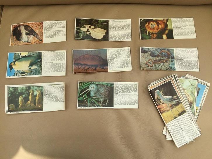 Oude chromo's met uitleg van Nestle - verschillende dieren, Verzamelen, Foto's en Prenten, Ophalen of Verzenden