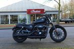 Harley-Davidson XL 883, -, Chopper, -, Bedrijf