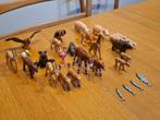 Dieren Playmobil, Enlèvement, Utilisé, Playmobil en vrac