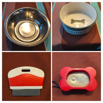 Allerlei honden  beschikbaar voor biedingen