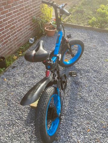 Fatbike Elektrische fiets  beschikbaar voor biedingen