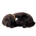 Labrador pup zwart Perfect Petzzz ademt 'echt', Ophalen of Verzenden, Nieuw, Hond