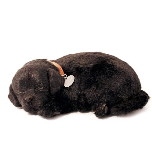 Labrador pup zwart Perfect Petzzz ademt 'echt', Kinderen en Baby's, Speelgoed | Knuffels en Pluche, Nieuw, Hond, Ophalen of Verzenden