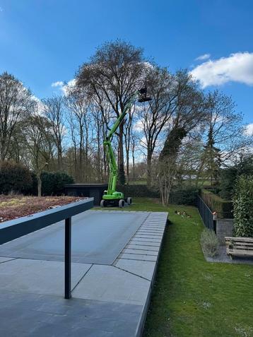 Boomverzorging  beschikbaar voor biedingen