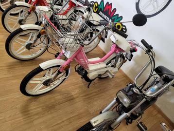 HONDA Camino DX  babyroze klasse A