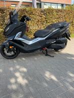 Scooter Sym 300 cruisym, Motoren, Scooter, 300 cc, Motorrijbewijs A, Particulier