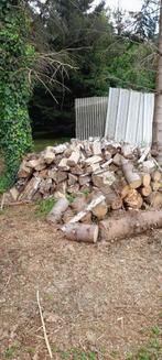 stookhout, Tuin en Terras, Brandhout, 3 tot 6 m³, Ophalen, Berkenhout, Blokken