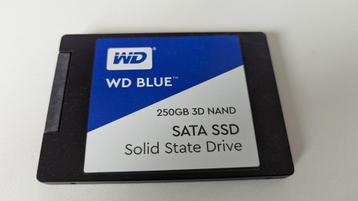 Solid state drive WB BLUE 250 GB beschikbaar voor biedingen