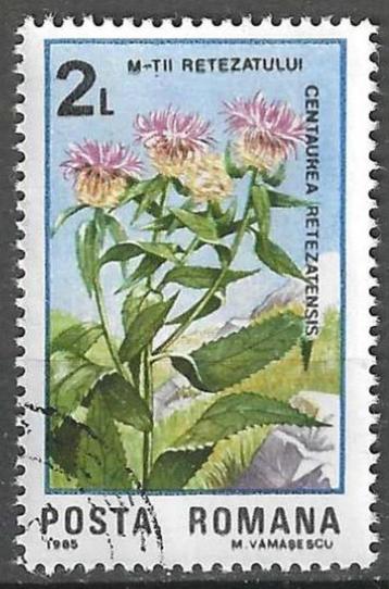 Roemenie 1985 - Yvert 3601 - Centaurea retezatensis (ST)