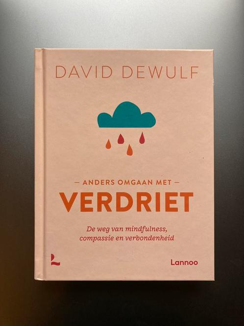 David Dewulf - Anders omgaan met verdriet, Livres, Psychologie, Neuf, Enlèvement ou Envoi