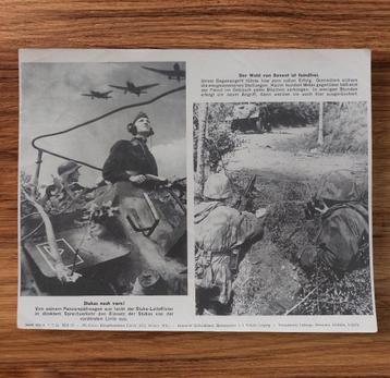 Duitse WO2 Panzerspāhwagen/Grenadier kriegsberichter foto beschikbaar voor biedingen