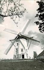 Sint-Niklaas - De Witte Molen, Verzamelen, Postkaarten | België, Verzenden, 1980 tot heden, Ongelopen, Oost-Vlaanderen