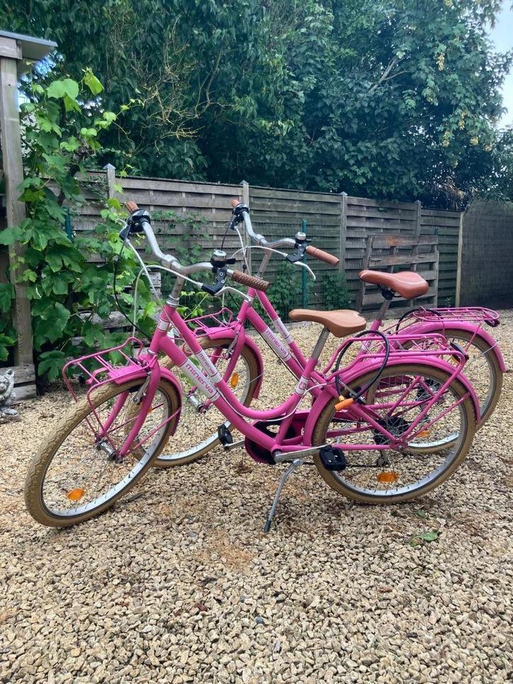 minerva meisjes fietsen, Fietsen en Brommers, Fietsen | Meisjes, Zo goed als nieuw, 24 inch, Handrem, Versnellingen, Ophalen