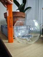 Viskom voor in het aquarium, Ophalen, Zo goed als nieuw, Leeg aquarium