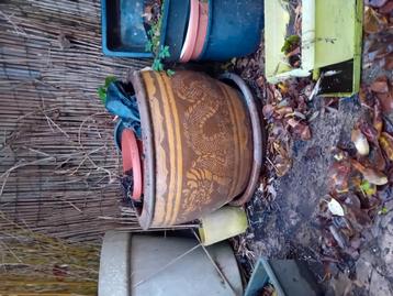 Pot a arbre tres bon etat 68cm beschikbaar voor biedingen