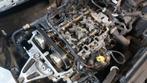 Distributieriem Citroen Peugeot Opel aan vervanging toe, Ophalen, Opel