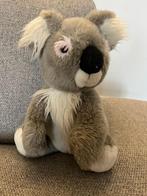 Knuffel/pluche koala, Ophalen of Verzenden, Zo goed als nieuw