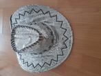 Glitter cowboy hoed, Kleding | Dames, Carnavalskleding en Feestkleding, Ophalen of Verzenden