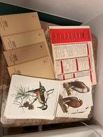 Artis Historia 1966, Collections, Marques & Objets publicitaires, Enlèvement ou Envoi, Comme neuf