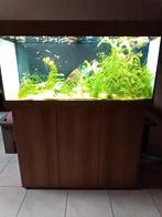 Juwel Rio 180l, Dieren en Toebehoren, Ophalen of Verzenden, Zo goed als nieuw