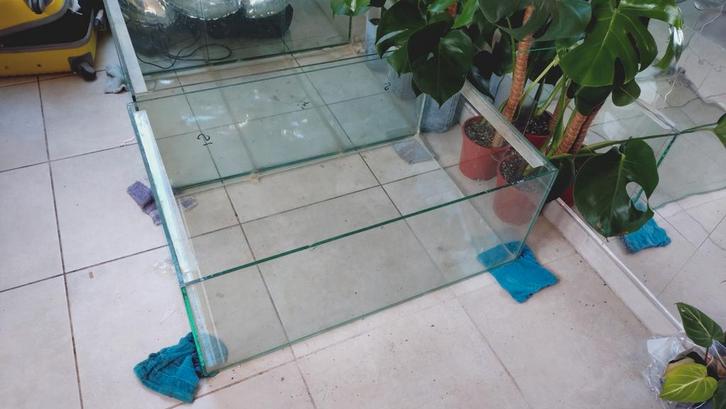 1 planten aquarium, Dieren en Toebehoren, Vissen | Aquaria en Toebehoren, Gebruikt, Leeg aquarium, Ophalen