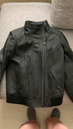 Motorvest dames, Motoren, Ophalen, Dames