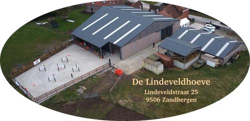 Pensionstalling - Halfpension - Volpension, Dieren en Toebehoren, Stalling en Weidegang, Stalling, 2 of 3 paarden of pony's