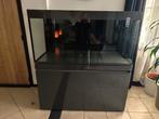 Eheim Incpiria 430L aquarium, Ophalen, Gebruikt, Leeg aquarium