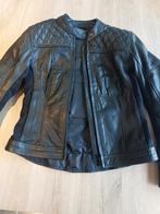 Motorjas dames, Motoren, Kleding | Motorkleding, Ophalen, Dames