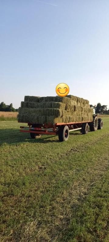 kleine pakken hooi  beschikbaar voor biedingen