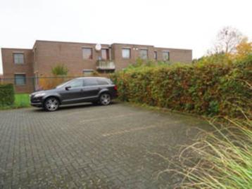 zes staanplaatsen in maaseik beschikbaar voor biedingen