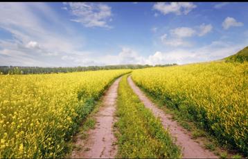 Cherche Terrain agricole, Immo, 1500 m² ou plus