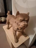 Mastif in terracotta, Antiek en Kunst, Ophalen