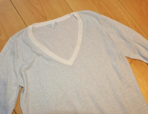 Mer du Nord pull scintillant argent t.S/M, Kleding | Dames, Truien en Vesten, Gedragen, Maat 36 (S), Overige kleuren, Ophalen of Verzenden