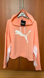 Sweater dames Puma, maat XL, nieuw !, Puma, Taille 42/44 (L), Autres couleurs, Enlèvement ou Envoi