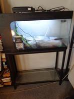 aquarium complet, Ophalen
