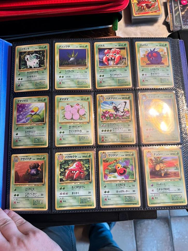 Pokemon Master set Jungle JAPANS, Hobby en Vrije tijd, Verzamelkaartspellen | Pokémon, Meerdere kaarten, Foil, Ophalen