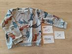 Pull jongen Hema - maat 110, Kinderen en Baby's, Kinderkleding | Maat 110, Gebruikt, Trui of Vest, Ophalen of Verzenden, Hema