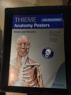 Thieme anatomy poster, Ophalen of Verzenden, Zo goed als nieuw, Hoger Onderwijs