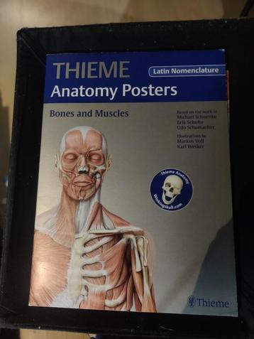 Thieme anatomy poster beschikbaar voor biedingen