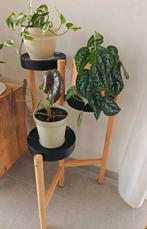 Plantenstaander/ plantenrek voor 3 planten in perfecte staat, Ophalen