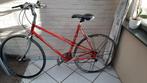Colnago fietskader voor dames., Gebruikt, 10 tot 15 versnellingen, Aluminium, Overige maten