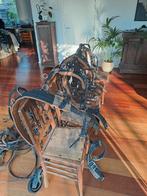 tweespan gareel, Animaux & Accessoires, Chevaux & Poneys | Brides & Harnachement, Enlèvement, Comme neuf, Récréation