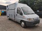 Paarden camionette rijbewijs b luchtveren, Dieren en Toebehoren, Paarden en Pony's | Trailers en Aanhangwagens, Ophalen of Verzenden