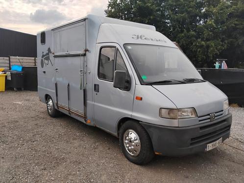 Paarden camionette rijbewijs b luchtveren, Dieren en Toebehoren, Paarden en Pony's | Trailers en Aanhangwagens, Ophalen of Verzenden