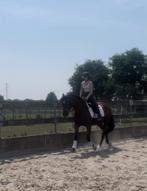 Hele lieve ruin, Ruin, B